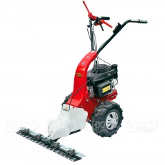 Бензиновая сенокосилка Eurosystems Minieffe 502 RM B&S 625EXi в Ростове-на-Дону