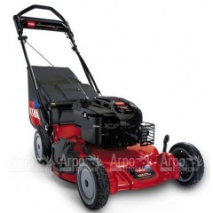 Газонокосилка бензиновая Toro 20092C в Ростове-на-Дону