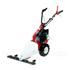 Бензиновая сенокосилка Eurosystems P55 Honda в Ростове-на-Дону