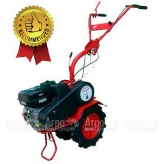 Мотоблок Агат БС-6.5 с двигателем Briggs&Stratton RS 6.5 л.с. (фрезы в комплекте) в Ростове-на-Дону