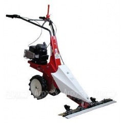 Бензиновая сенокосилка Eurosystems Minieffe 352 RM B&#38;S 625 Series в Ростове-на-Дону