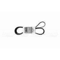 Pubert 0306030002 Ремень привода для ECO, ELITE, PRIMO (с реверсом) 5718 в Ростове-на-Дону