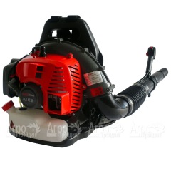 Воздуходувка бензиновая EVOline BLG 42 BP в Ростове-на-Дону