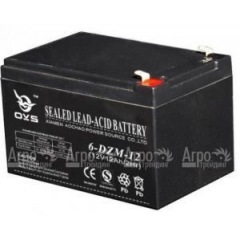 Аккумулятор Champion C3503 в Ростове-на-Дону