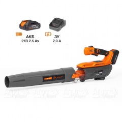 Воздуходувка аккумуляторная Daewoo DABL 5521Li SET в Ростове-на-Дону