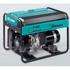 Бензогенератор Eisemann P 4401 Profiline 5,4 кВт в Ростове-на-Дону