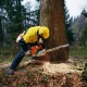 Бензопила Stihl MS 880-47" в Ростове-на-Дону