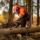 Бензопила Daewoo DACS 4516-16 в Ростове-на-Дону